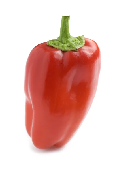 Pepper close up — Stock Photo, Image