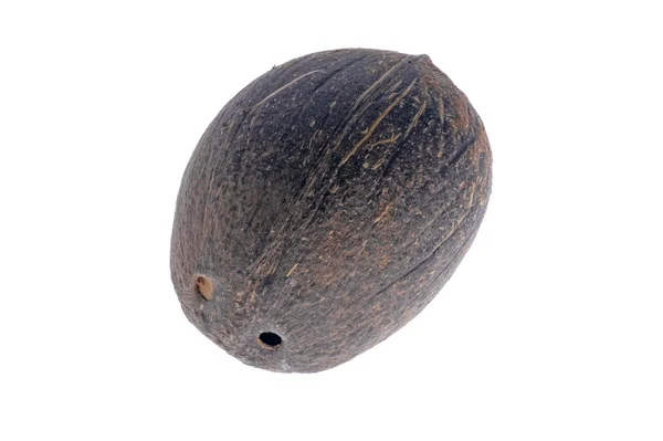 화이트에 코코넛 — 스톡 사진