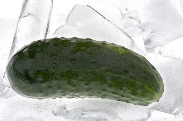 Komkommer in de ijs-macro — Stockfoto