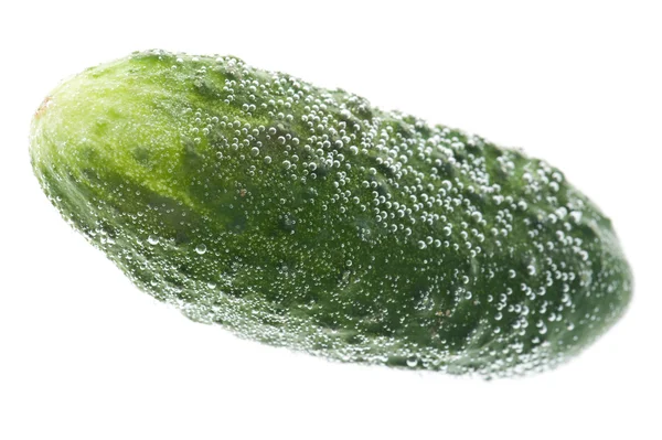 Cucumber in water macro — Stock Photo, Image