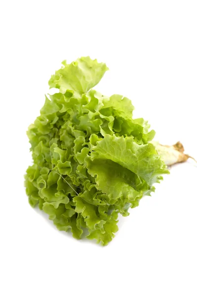 Lettuce on white — Stock Photo, Image
