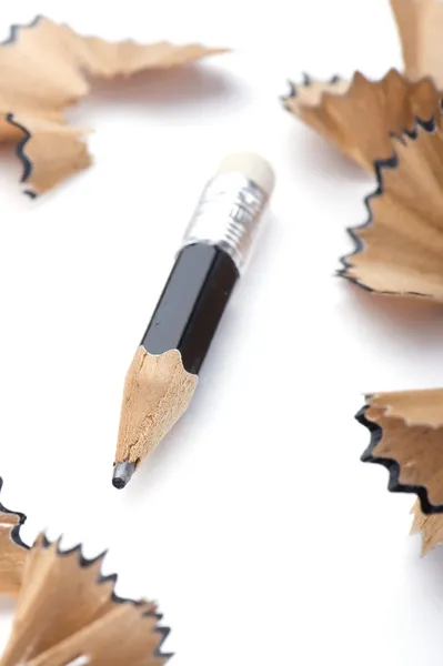 Pencil and shavings on white — Stock Photo, Image