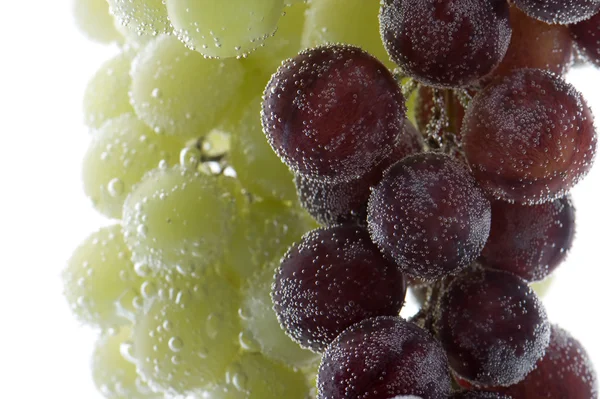 Uvas vermelhas e verdes em macro água — Fotografia de Stock