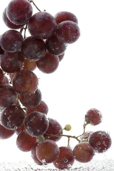 Rode druiven in water op wit — Stockfoto