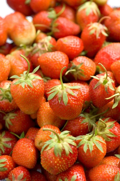 Ripe strawberries macro — Stock Photo, Image