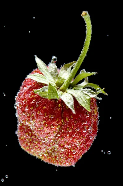 Căpșuni în apă — Fotografie, imagine de stoc