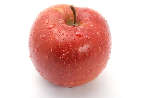 흰 붉은 사과 — 스톡 사진