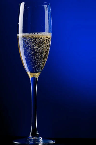 Champagneglas på blå — Stockfoto