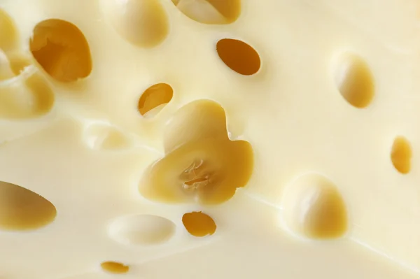 Cheese macro — Stock Photo, Image