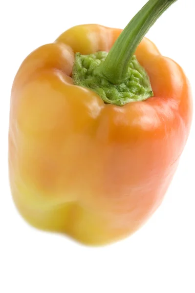 Pepper closeup — Stock Photo, Image