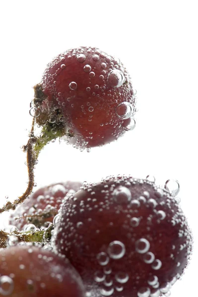Uvas rojas en agua macro — Foto de Stock