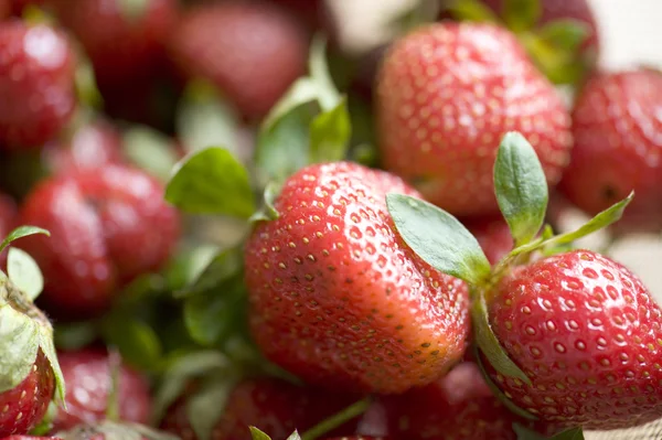 कच्चे स्ट्रॉबेरीज — स्टॉक फोटो, इमेज