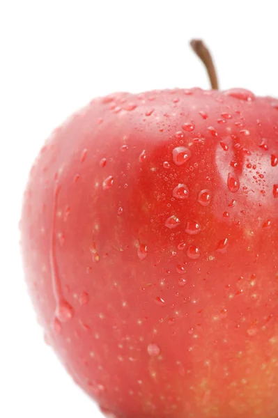 Macro manzana roja — Foto de Stock
