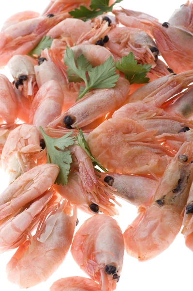 Shrimp on white — Stock Photo, Image