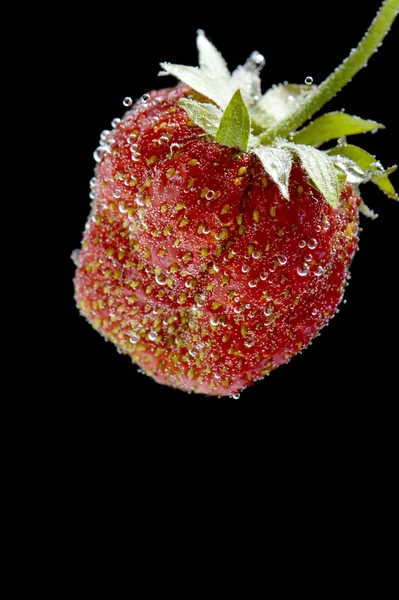 Φράουλα σε νερό closeup — Φωτογραφία Αρχείου