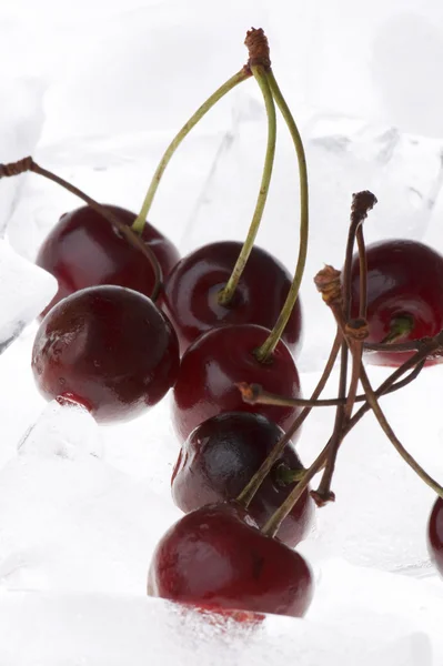 Cherry in ice closeup — Stock Photo, Image