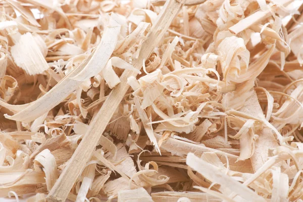 stock image Sawdust closeup