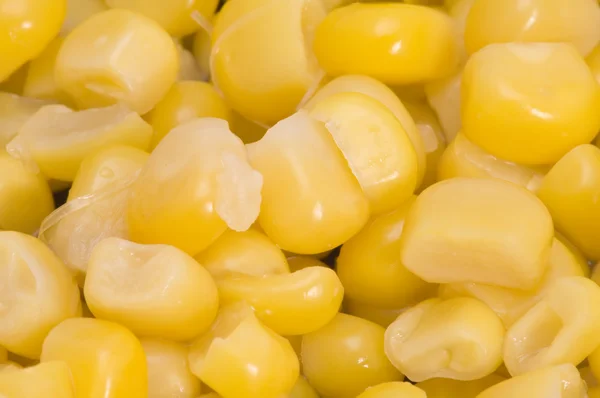 Макро кукурузы — стоковое фото