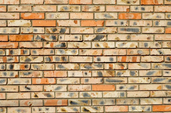 Of-different-colours-bricks — Stock Photo, Image