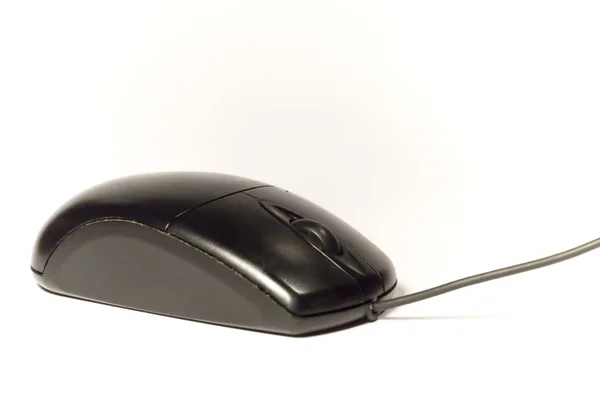 Old mouse — Stock Photo, Image