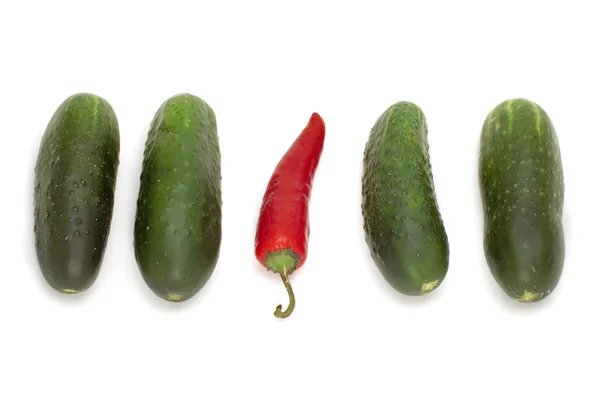 Rode peper en komkommer — Stockfoto