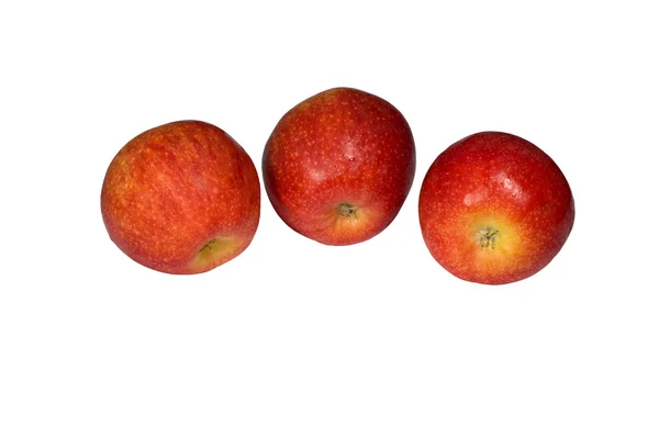 Moden æble - Stock-foto