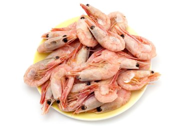 Shrimp clipart