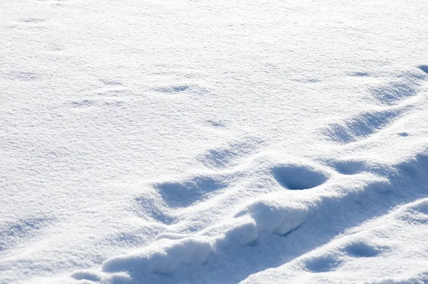 stock image Snow