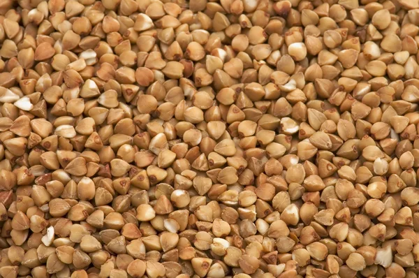 Cereais de trigo mourisco — Fotografia de Stock