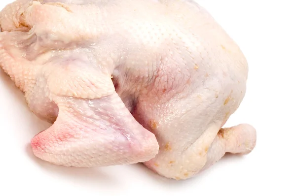 Chicken close up — Stock Photo, Image