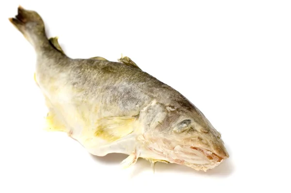 화이트에 신선한 생선 — 스톡 사진