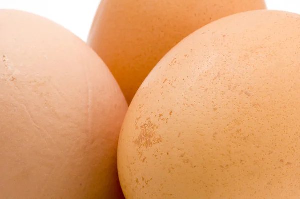Jajko z bliska — Zdjęcie stockowe