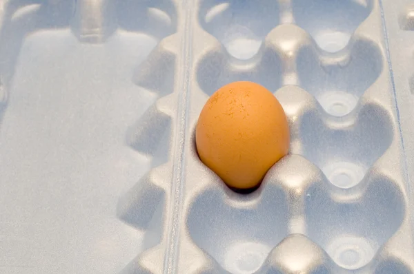 Kutusunda yumurta — Stok fotoğraf