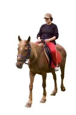 Horsewoman clipart