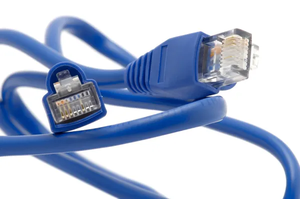 Ethernet plug — Stockfoto