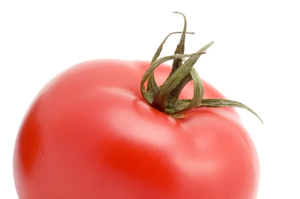 トマト マクロをクローズ アップ — ストック写真