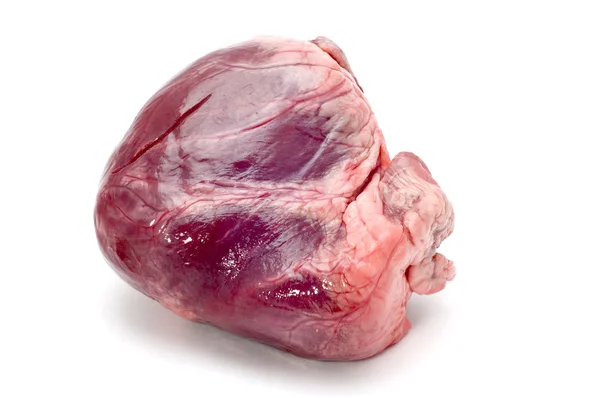 Kalfsvlees hart — Stockfoto