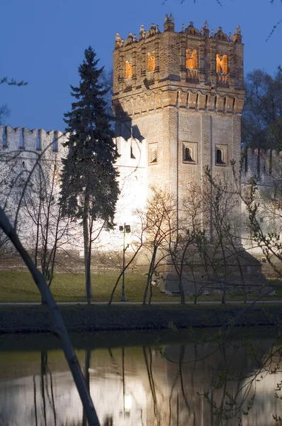 Duvar ve kule — Stok fotoğraf