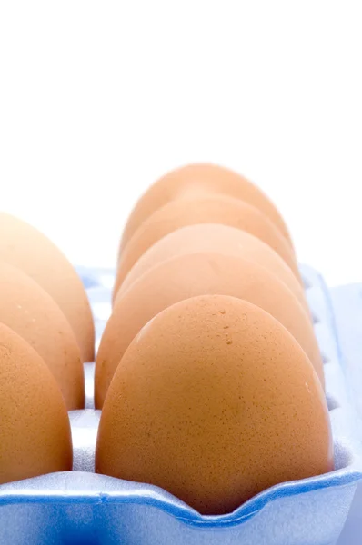 Gele eieren in doos — Stockfoto