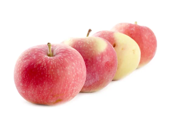 Macro de manzana coloreada — Foto de Stock