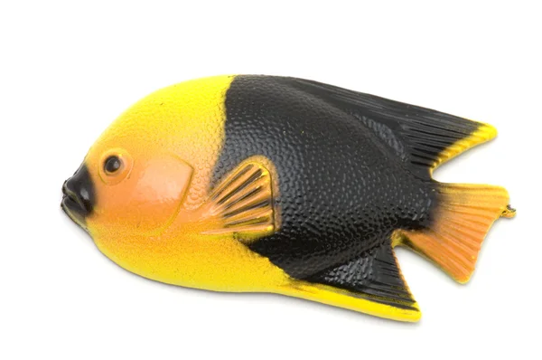 Magnete pesce colorato — Foto Stock