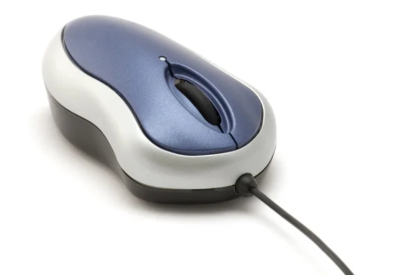 Mouse colorido sobre branco — Fotografia de Stock