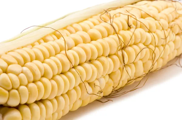 Кукуруза в початках крупным планом — стоковое фото