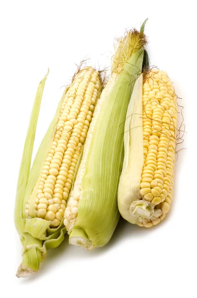 Mais in Maiskolben aus nächster Nähe — Stockfoto