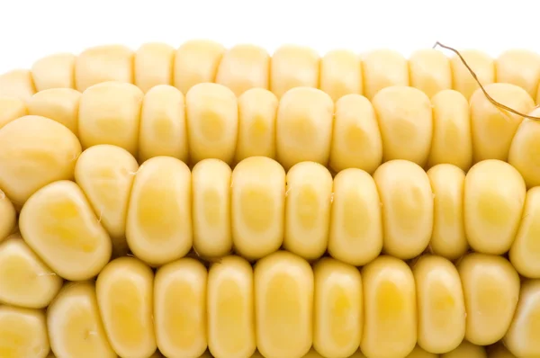 Кукуруза в початках макро — стоковое фото