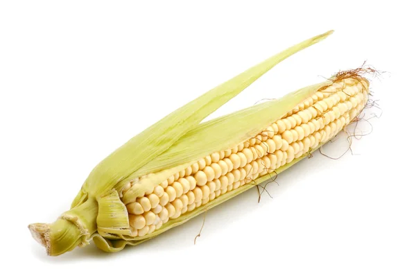 Kukorica a cob, fehér — Stock Fotó