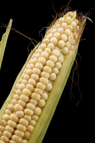 Mais in Maiskolben auf Schwarz — Stockfoto