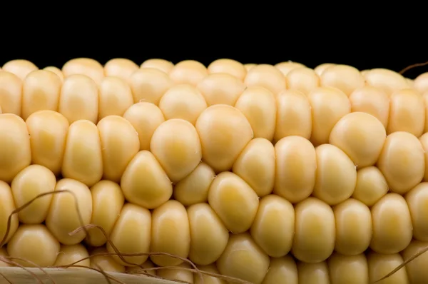 Maïs op zwarte macro — Stockfoto