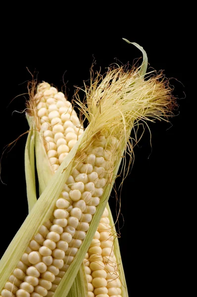 Кукуруза на черном — стоковое фото