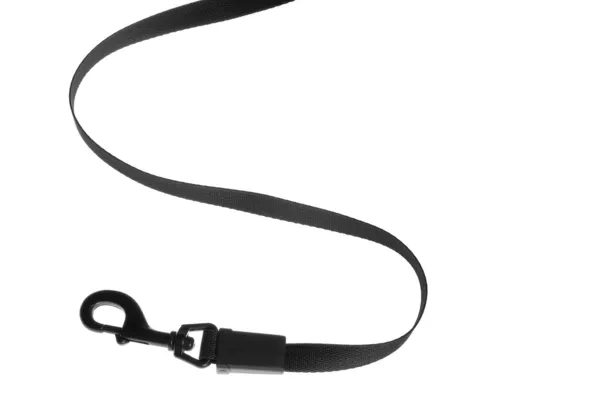 Dog leash — Stock Photo, Image